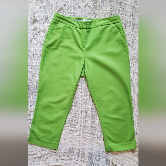 💚5/$25 Charter Club Paint Shop Vibrant Green Cropped Ankle Chino Pants Size 10 - Picture 5 of 5